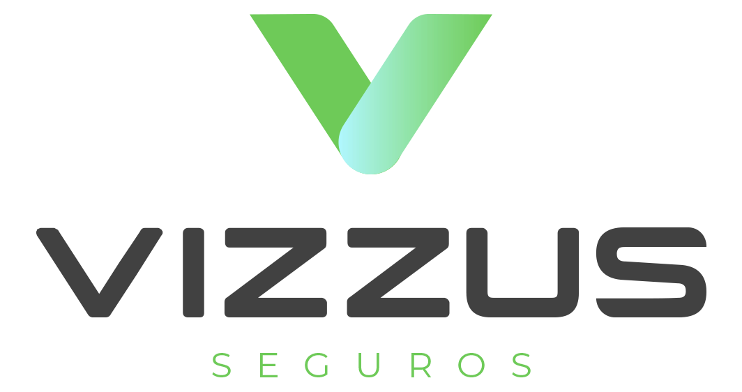 vizzus.com.br